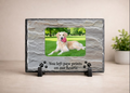 You Left Paw Prints on Our Hearts – Personalized Pet Memorial Slate